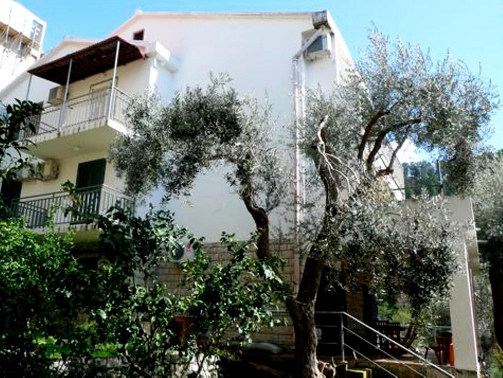 Apartments Maslina Sveti Stefan Exteriér fotografie