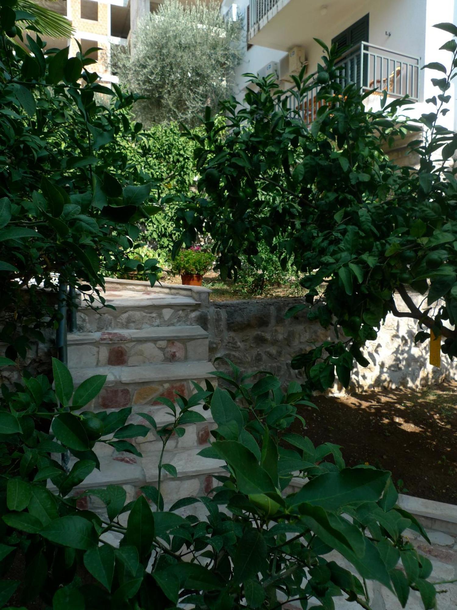 Apartments Maslina Sveti Stefan Exteriér fotografie
