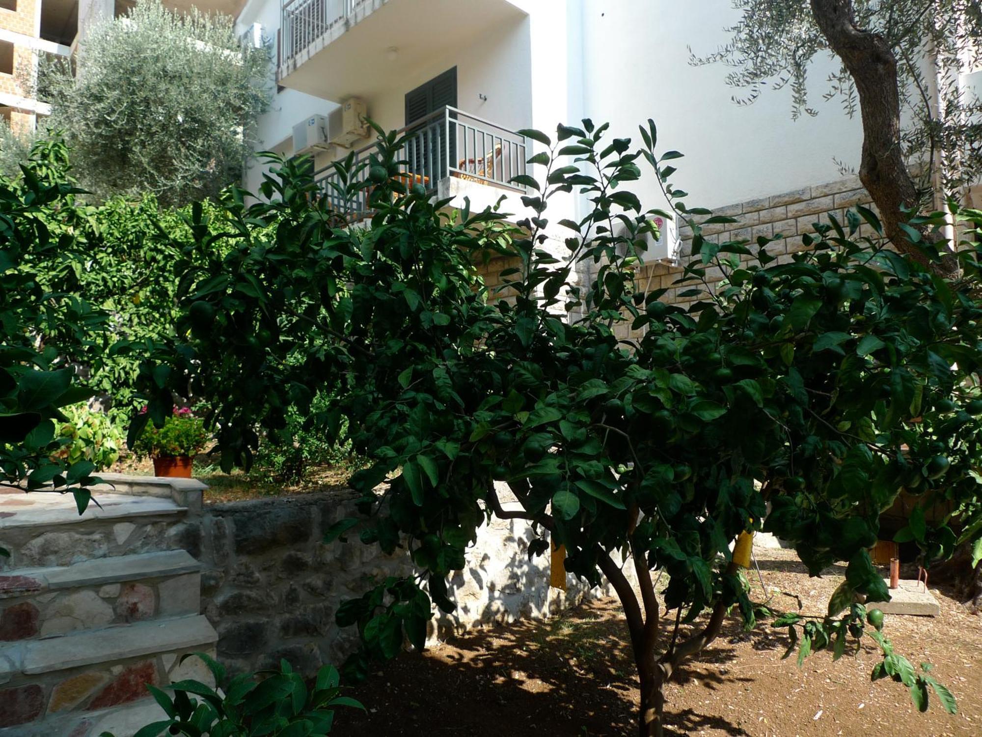 Apartments Maslina Sveti Stefan Exteriér fotografie